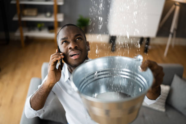 Best Carpet water damage restoration  in Pine Prairie, LA