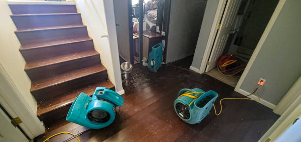 Best Basement water damage restoration  in Pine Prairie, LA