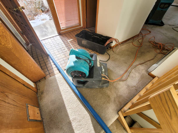 Best Water damage restoration mold remediation  in Pine Prairie, LA