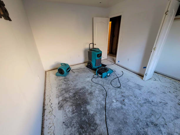 Best 24-hour water damage restoration  in Pine Prairie, LA