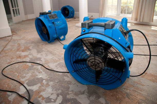 Water damage restoration mold remediation in Pine Prairie, LA